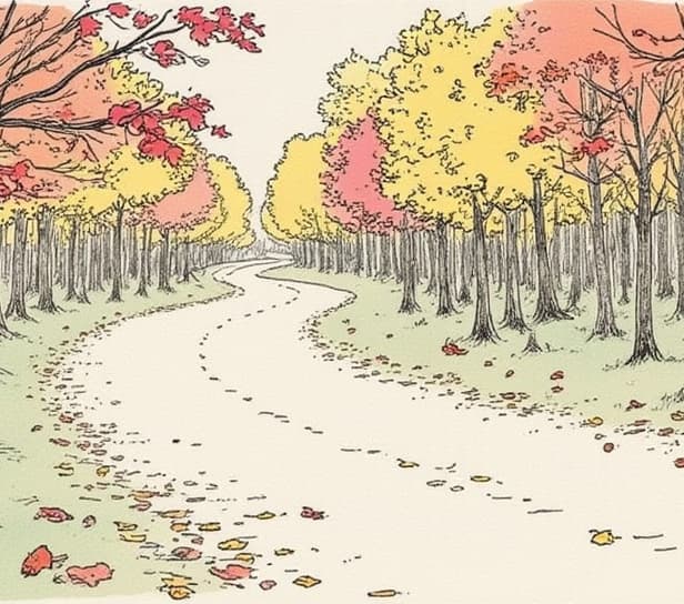 Illustration showing the healing journey